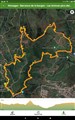 Monagas 5.jpg