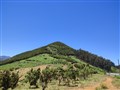 Monagas 6.jpg