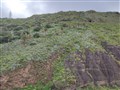 Barranco 15.jpg