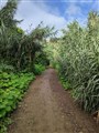 Barranco 17.jpg