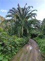 Barranco 7.jpg