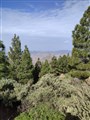 Roque Nublo 11.jpg