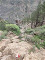 Roque Nublo 13.jpg