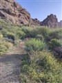 Roque Nublo 2.jpg