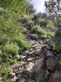 Roque Nublo 3.jpg