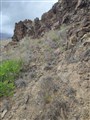 Presa de La Gambuesa 14.jpg
