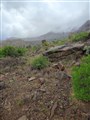 Presa de La Gambuesa 8.jpg